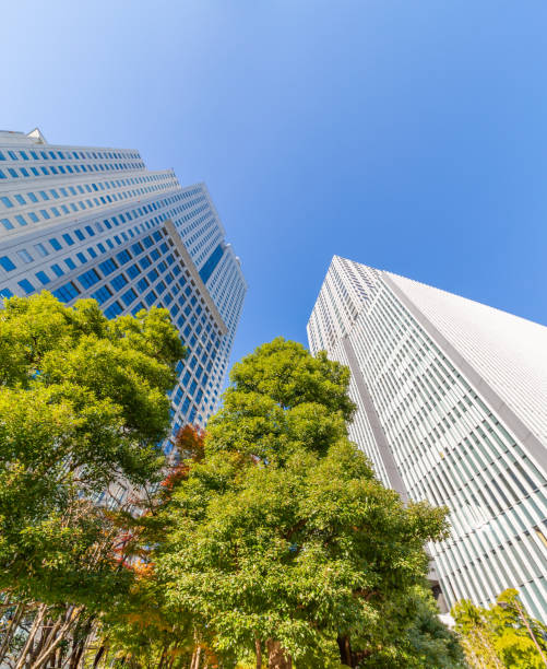 istock Fresh green and buildings 1137310283