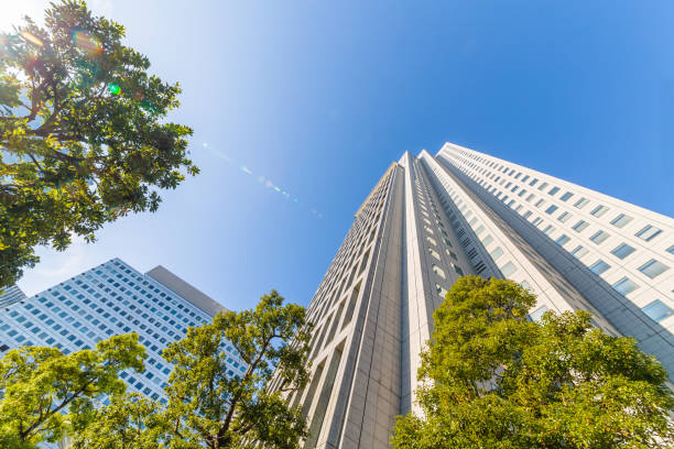 istock Fresh green and buildings 1137310544