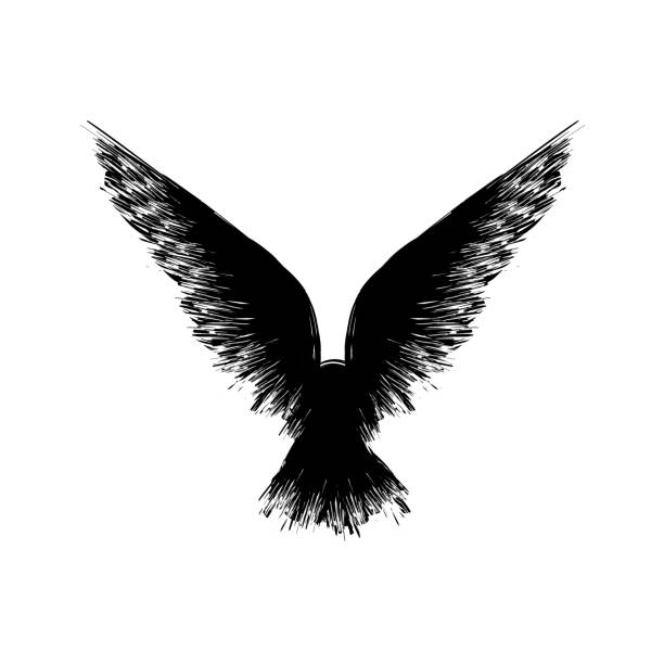 Black grunge raven silhouette Black grunge bird silhouette with ink splash isolated on white background raven bird stock illustrations