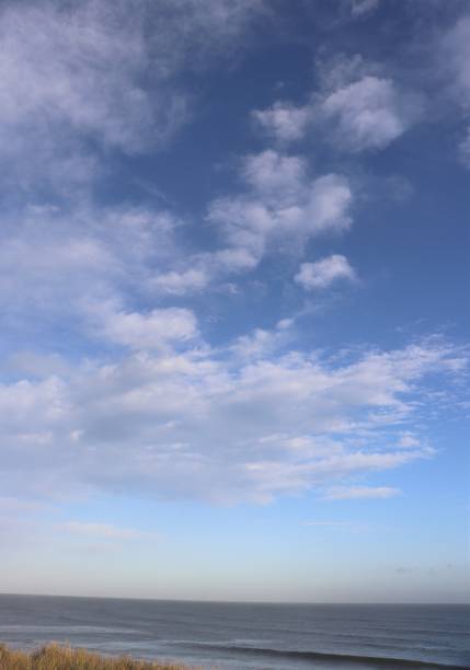 istock Fluffy white clouds in blue sky over coastline and beach with copy space 1137317769
