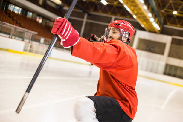 istock Ice hockey player celebrating a goal 1137320704