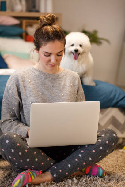 istock Girl using laptop, dog is sitting on bed 1137323160