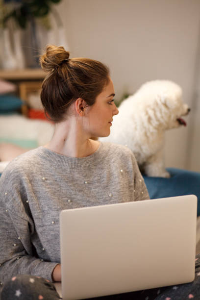 istock Girl with laptop looking at her dog 1137323164