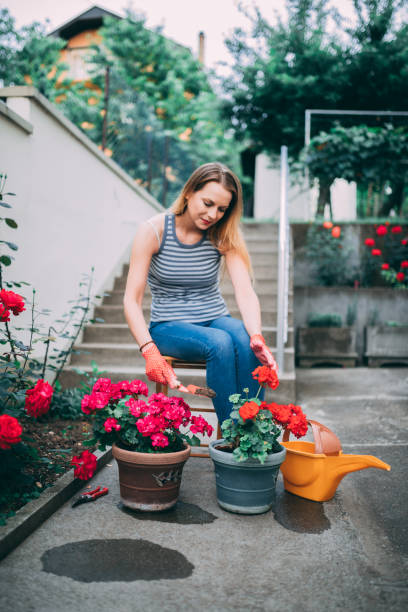 istock Cheerful woman repotting plants in the back yard 1137323242