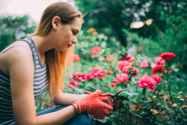istock Gardening can be relaxing 1137323284