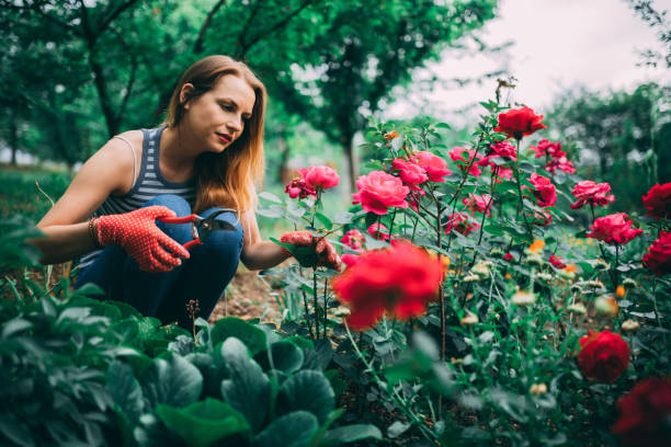 istock Gardening can be relaxing 1137323327