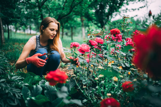 istock Gardening can be relaxing 1137323390