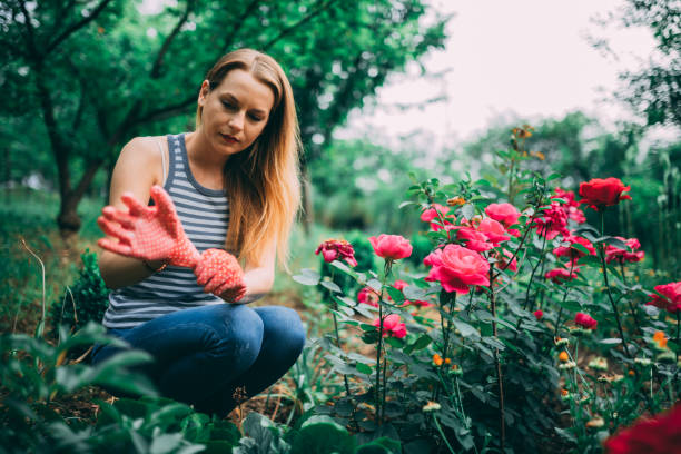 istock Woman enjoying gardening in the back yard 1137323478