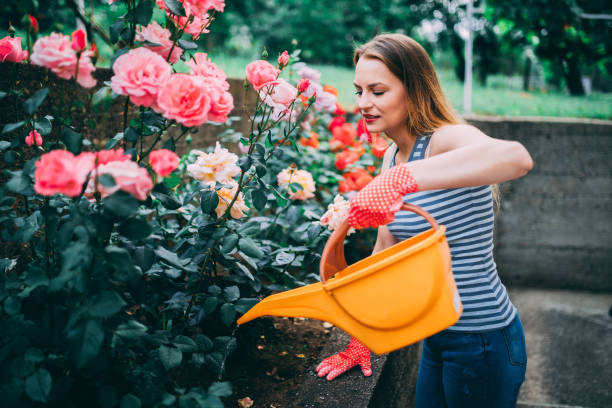 Casual dressed woman watering flowers in the back yard at home