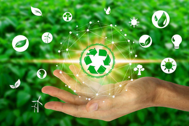 istock Hand holding with environment icons over the Network connection on nature background, Technology ecology concept 1137327910