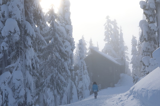 The sun is peaking through the clouds in the distance, Mt Washington ski area