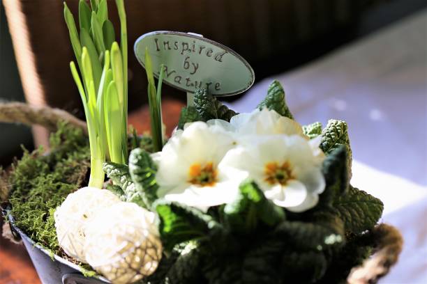 istock An Image of a garden and flower 1137329496