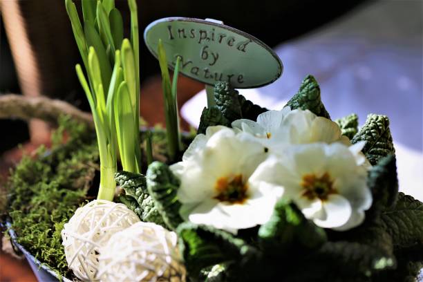 istock An Image of a garden and flower 1137329502