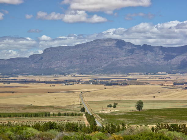 istock On the road to Cederberg 1137334068