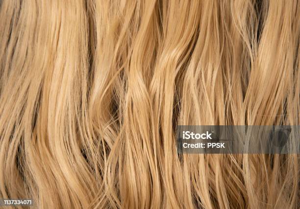 Blond Auburn Ladies Hair Curly And Slightly Wet From Washing Against A Black Jumper Background Long Hair Extensions With Waves And Bright Color Stock Photo - Download Image Now