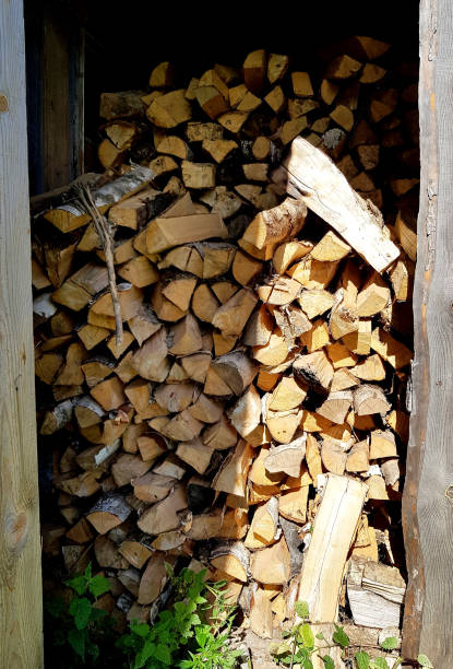 istock Dry firewood on the woodpile. 1137334871