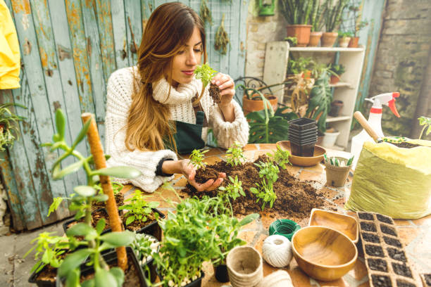 istock Planting herbs in my home garden 1137336112