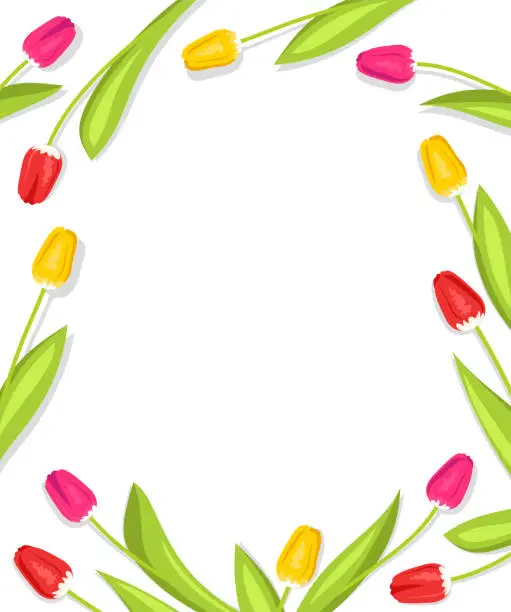 Vector illustration of Tulips on a white background