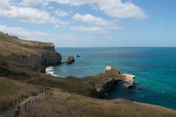 Photo of Tunnel Beach Walk  Dunedin New Zealand