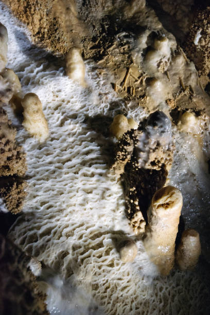istock Waitomo Caves New Zealand 1137337207