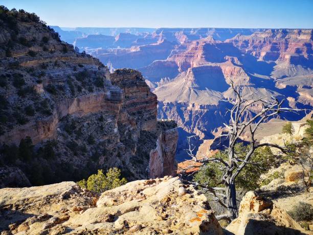 istock grand canyon national park from south rim 1137338008