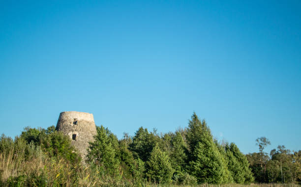 istock Old mill building, summer sunny day 1137338562