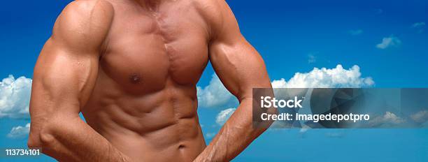 Forte Construção - Fotografias de stock e mais imagens de Bíceps - Bíceps, Uma Pessoa, 20-29 Anos