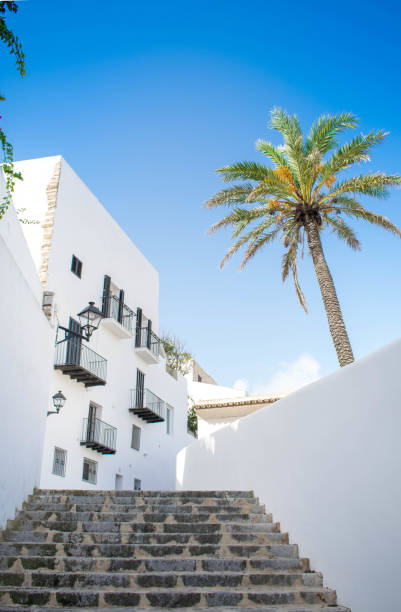 low angle view of palm tree and white building against blue sky at the old town of ibiza, spain. - ibiza town imagens e fotografias de stock