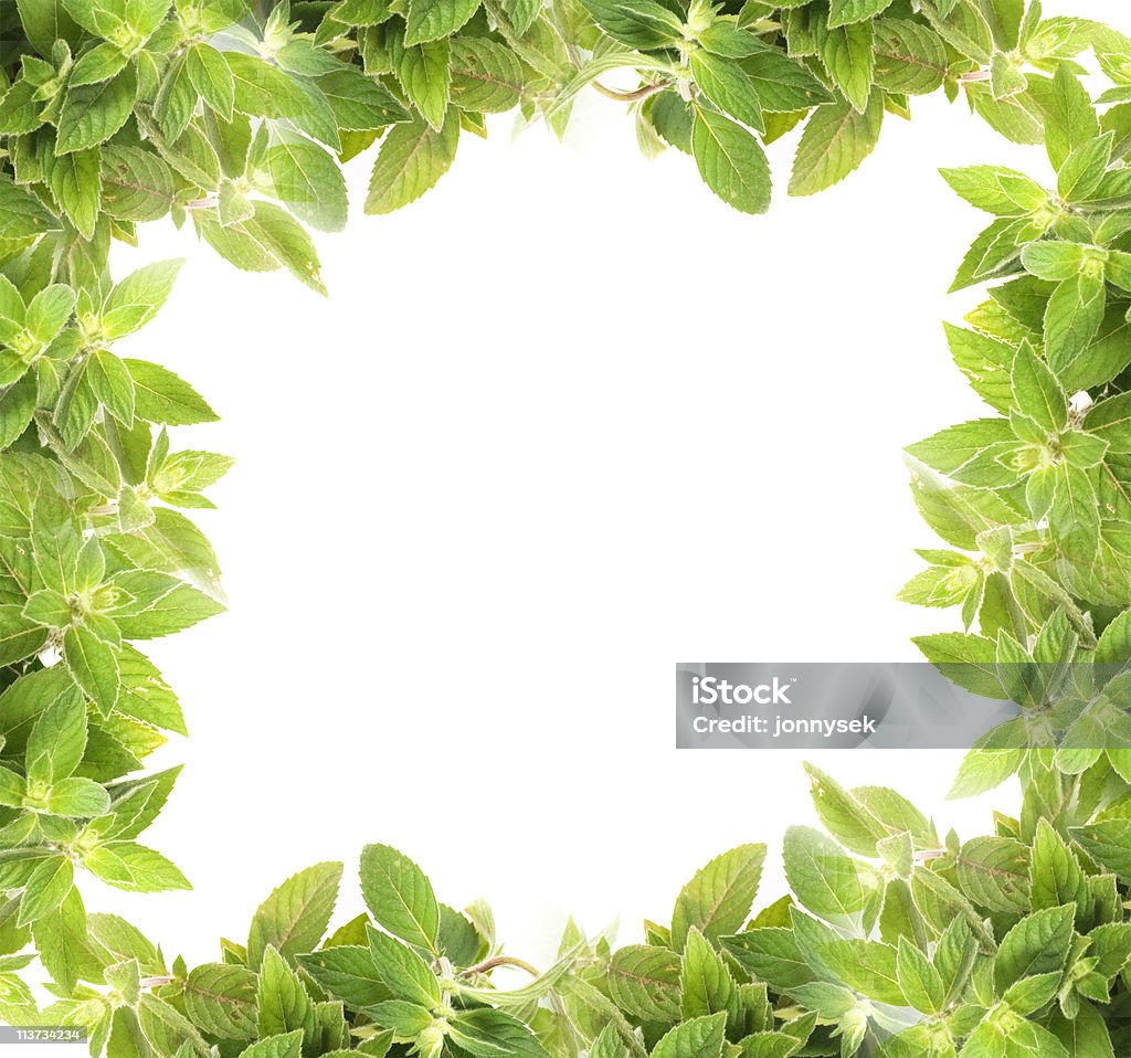 mint background  Aromatherapy Stock Photo