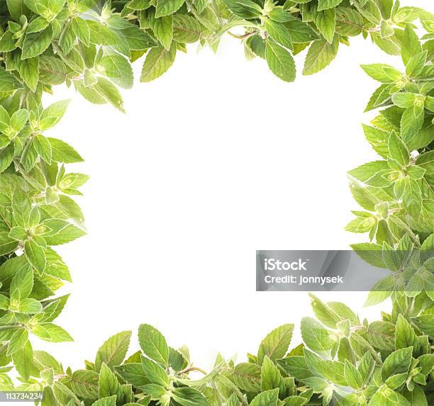 Mint Background Stock Photo - Download Image Now - Aromatherapy, Color Image, Cut Out