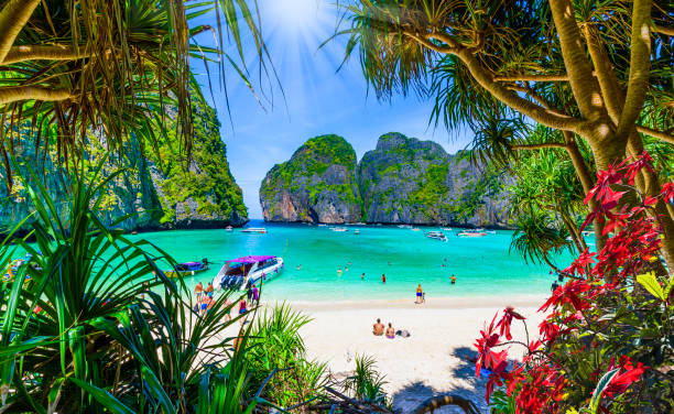 マヤビーチオンピピアイランズ - phi phi islands ストックフォトと画像