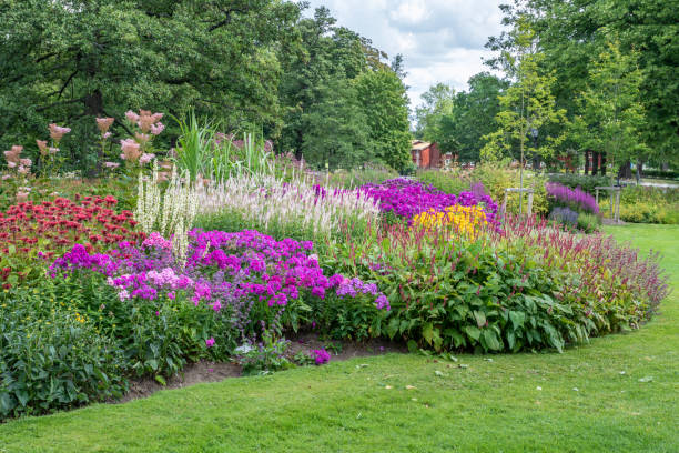 istock Colorful flower bed in a park in Sweden 1137346580