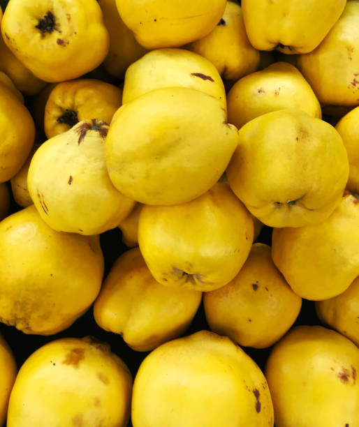istock Quince Fruits 1137348772