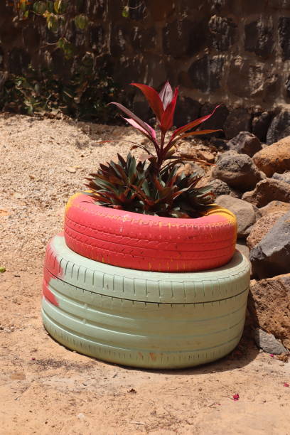 istock Ngor Island - tire and plant 1137348775