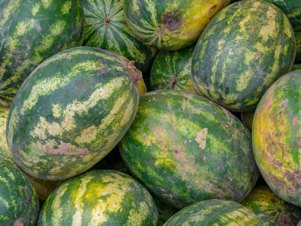 istock A pile of watermelons 1137349306
