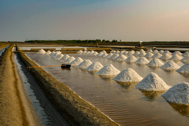 istock Sea salt field in Thailand 1137352155