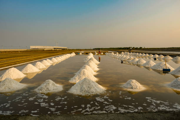 istock Sea salt field in Thailand 1137352157