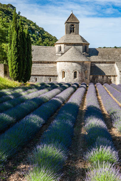 istock Provence - France 1137357797