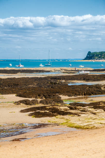 istock view on the beach of le petit vieil 1137359225