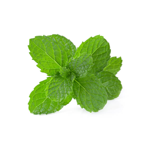 istock Mint leaves isolated over a white background. 1137359310