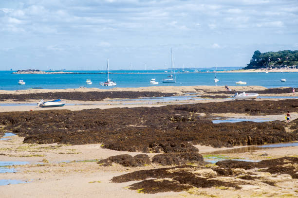 istock view on the beach of le petit vieil 1137359568