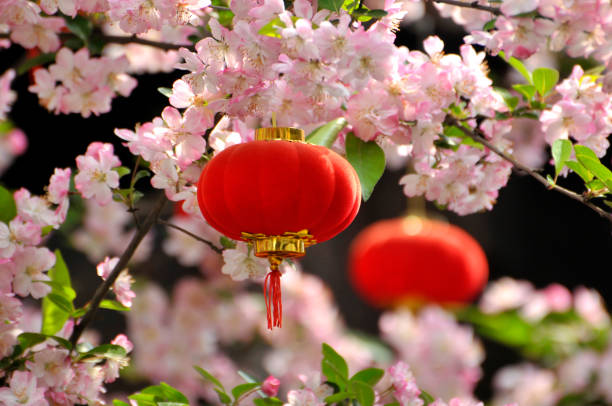 istock Chinese hanging lantern at Chinese New Year 1137362435
