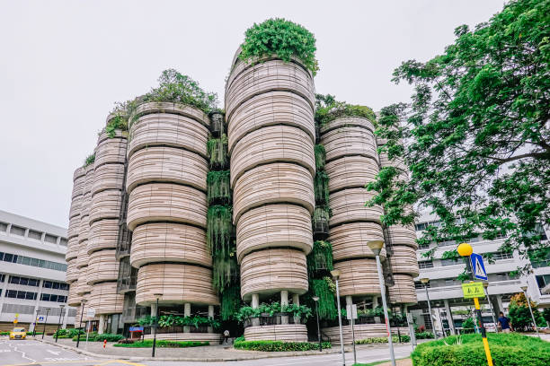 singapore - november 24, 2018: The hive, called dim sum baskets building, at nanyang technological university (ntu). The building was awarded the green mark platinum in 2013,\