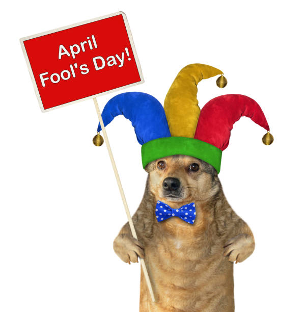 istock Dog in a jester hat with a sign 1137364466