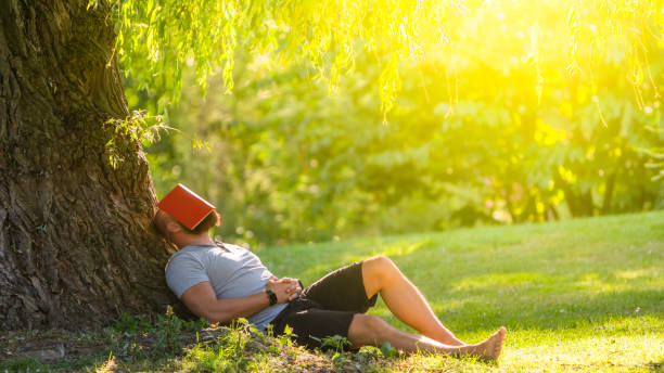 un giovane dorme sotto l'albero (salice piangente) con il libro sul viso - men reading outdoors book foto e immagini stock