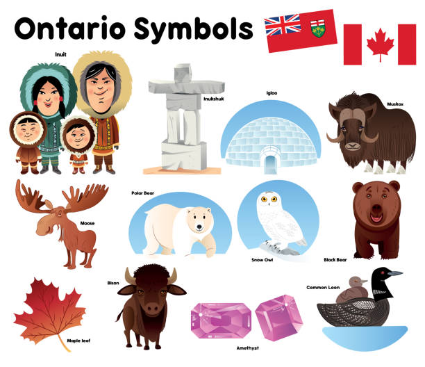 Ontario Symbols Vector Ontario Symbols loon bird stock illustrations