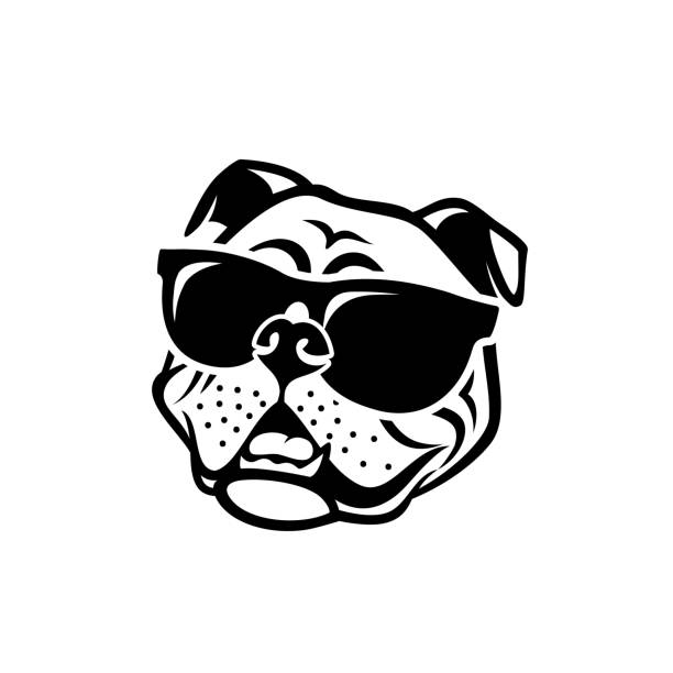 englische bulldogge mit sonnenbrille-isolierte, umrissene vektorabbildung - bulldogge stock-grafiken, -clipart, -cartoons und -symbole