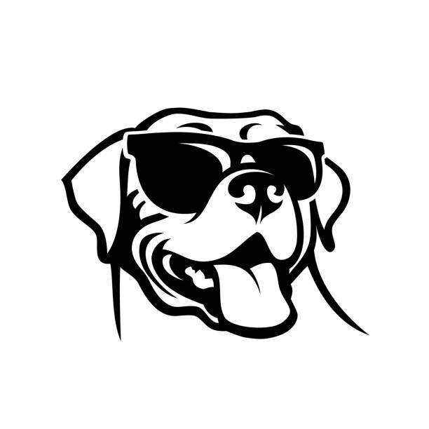 Labrador retriever dog face wearing sunglasses - isolated outlined vector illustration Labrador retriever dog face wearing sunglasses cartoon characters with big heads stock illustrations