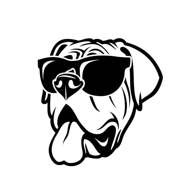 English mastiff dog wearing sunglasses - isolated outlined vector illustration English mastiff dog wearing sunglasses mastiff stock illustrations