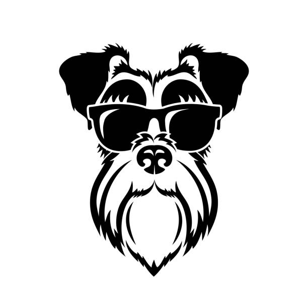 Schnautzer face wearing sunglasses - isolated vector illustration Schnautzer face wearing sunglasses schnauzer stock illustrations